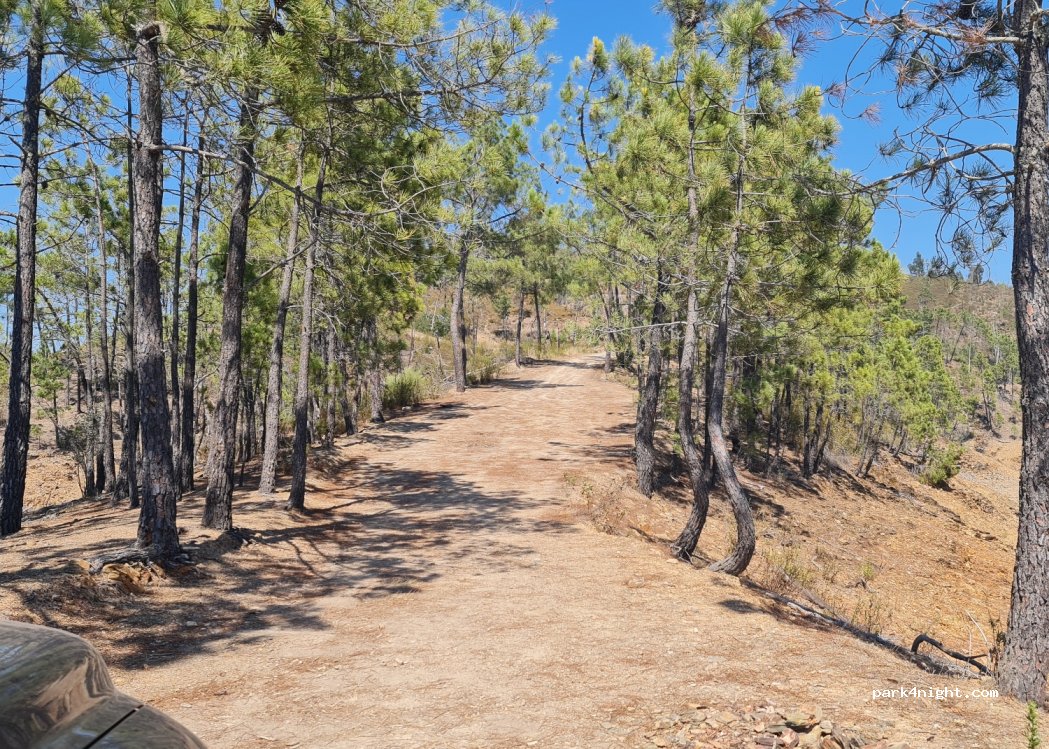 Vila de Rei,Unnamed Road thumbnail 2