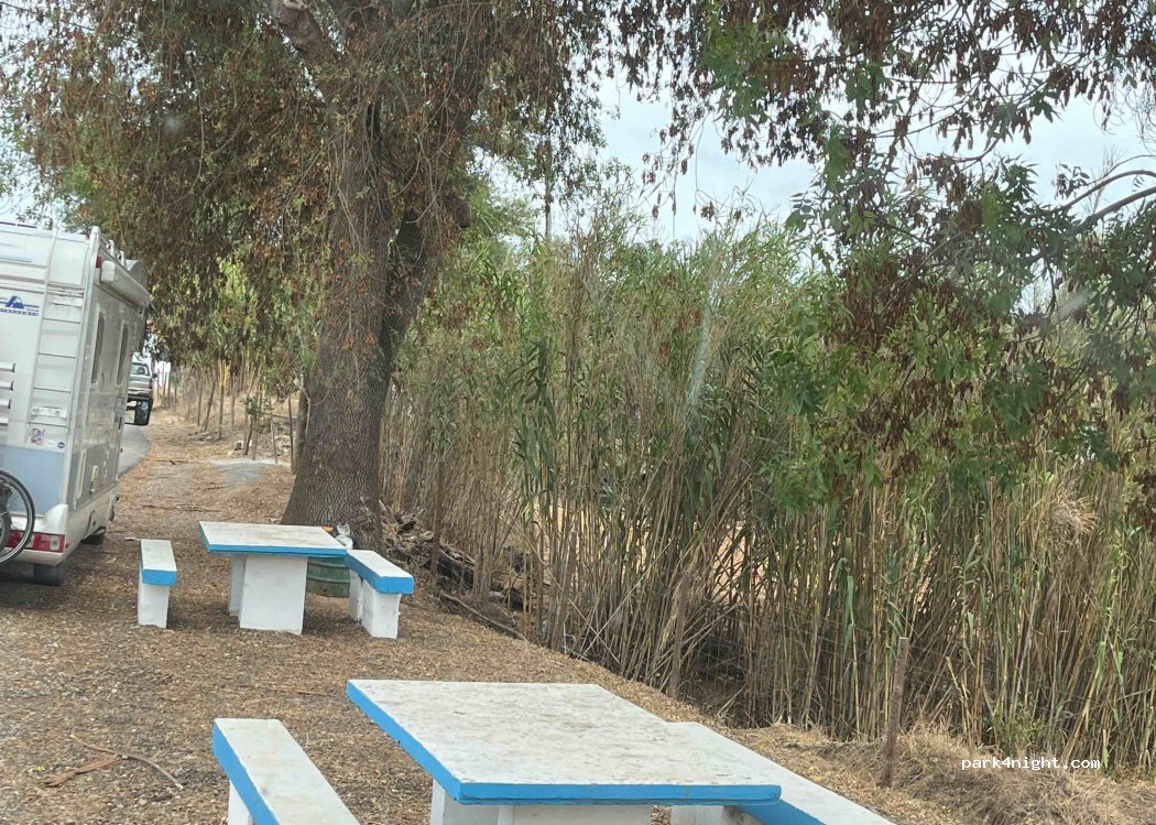 Padrona, N266 - photo 1