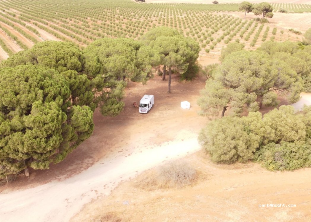 Bollullos de la Mitación,Unnamed Road - photo 1