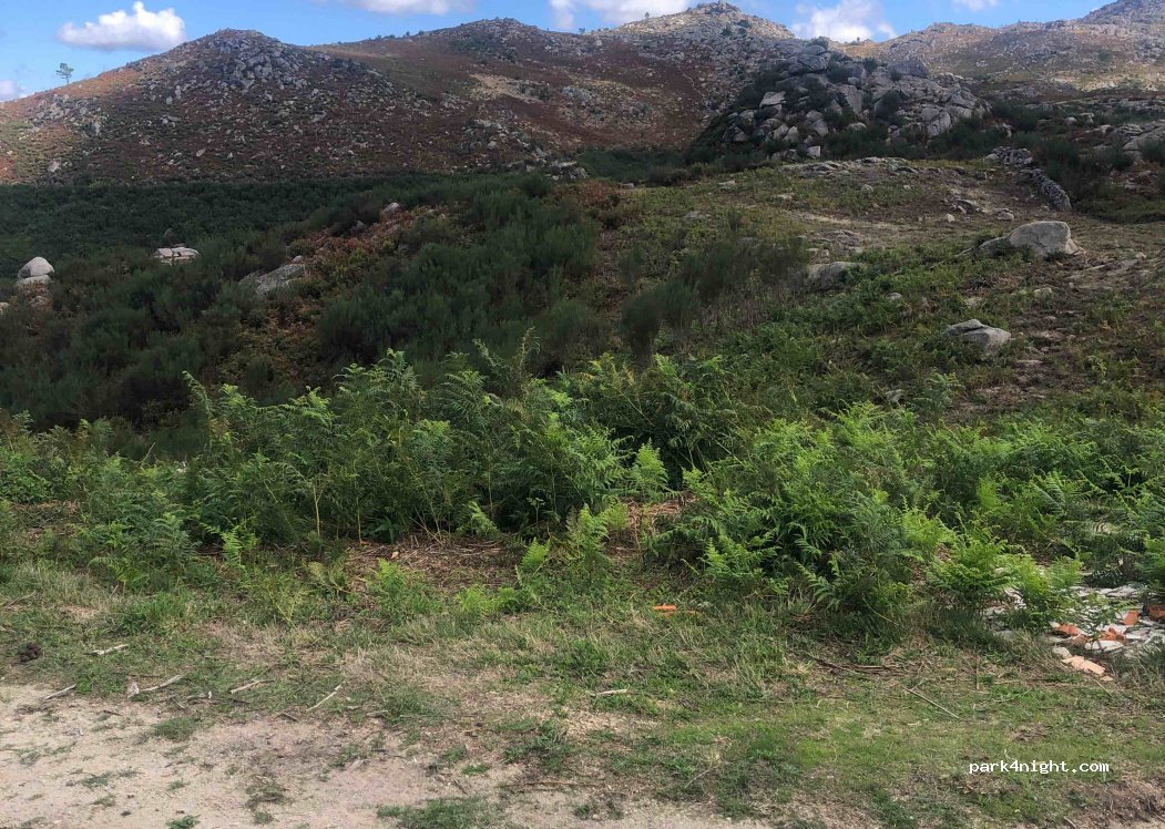 Albergaria da Serra, thumbnail 2