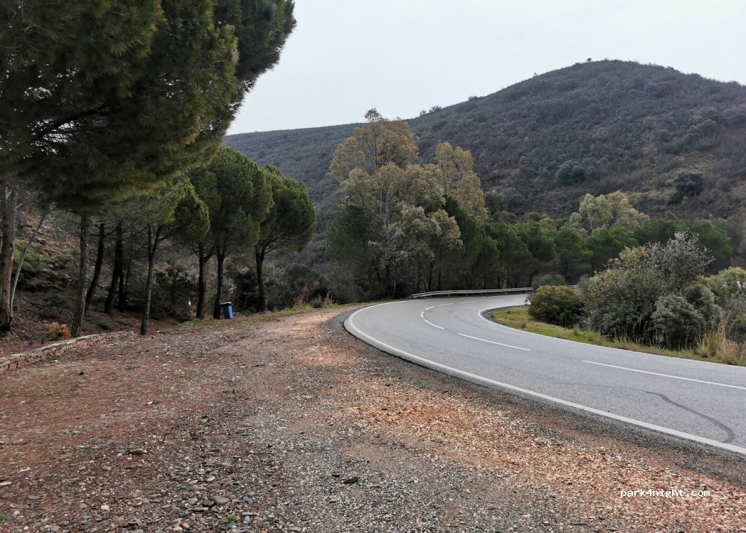 Portela,N397 thumbnail 2