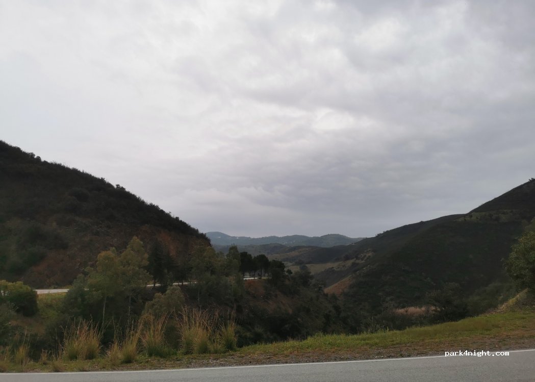 Portela,N397 thumbnail 3