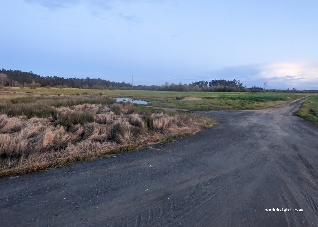 Pardilhó, thumbnail 3