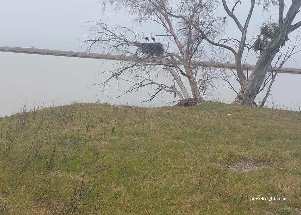 La Señuela, thumbnail 2