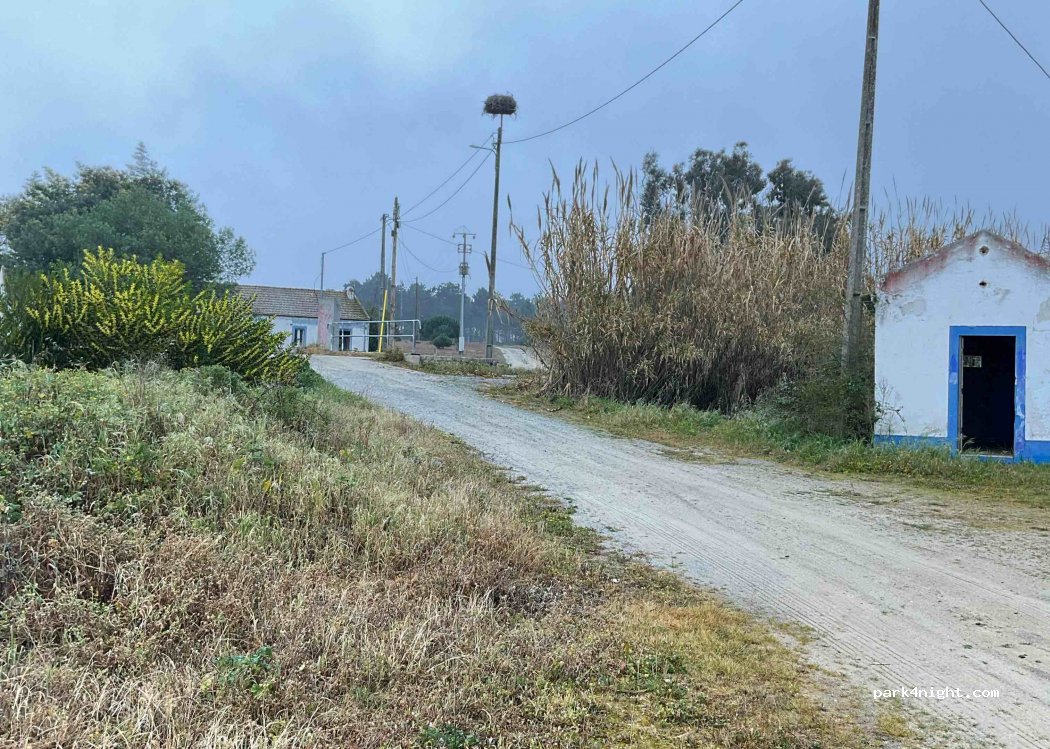 Comporta, thumbnail 2