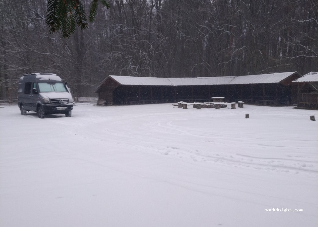 undefined photo 4