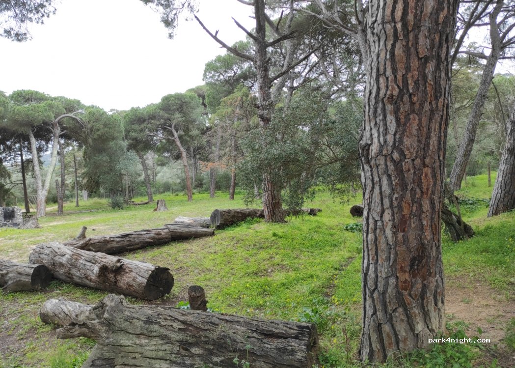 Palmela, thumbnail 2