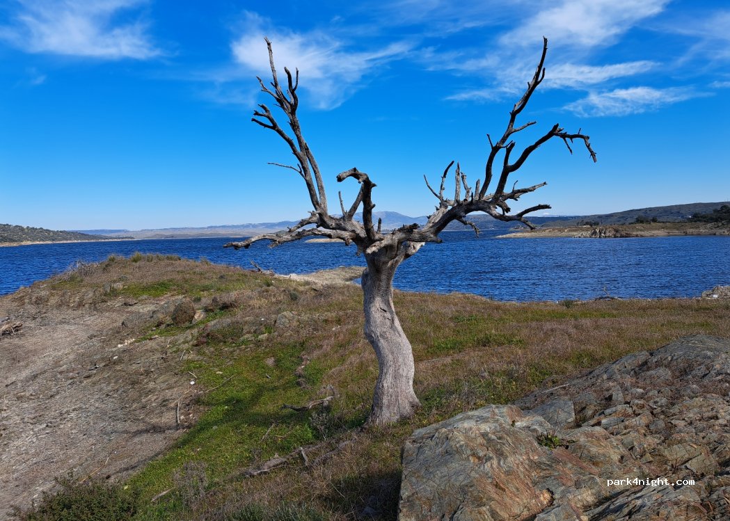 Garrovillas de Alconétar, thumbnail 3