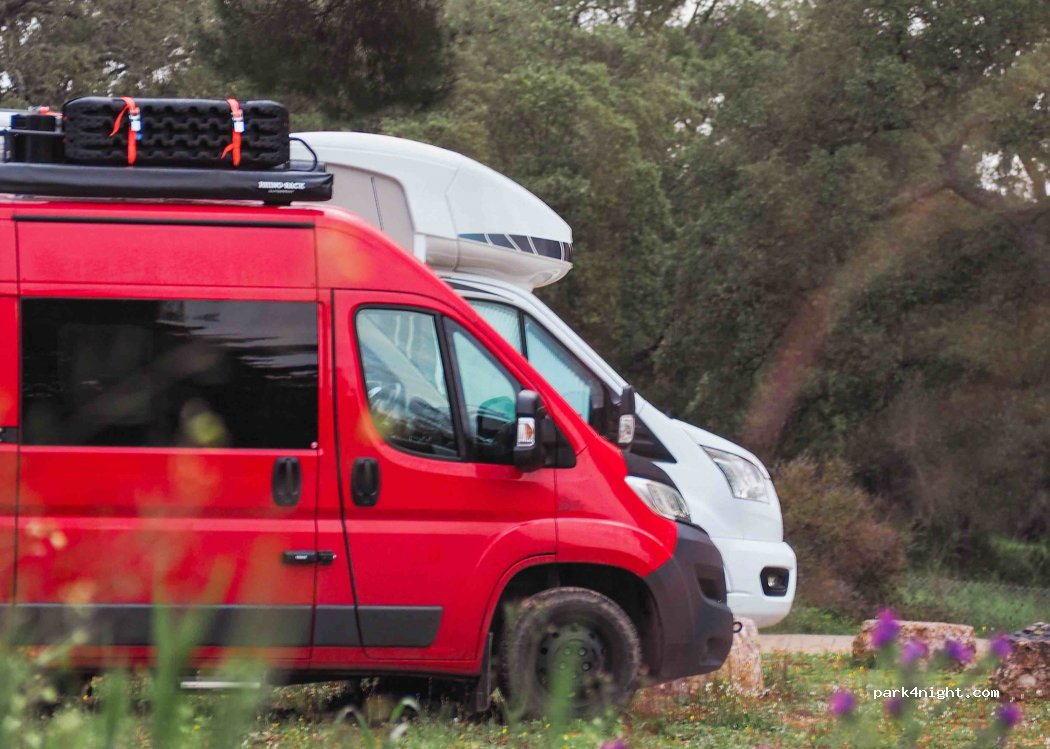 Palmela, thumbnail 3