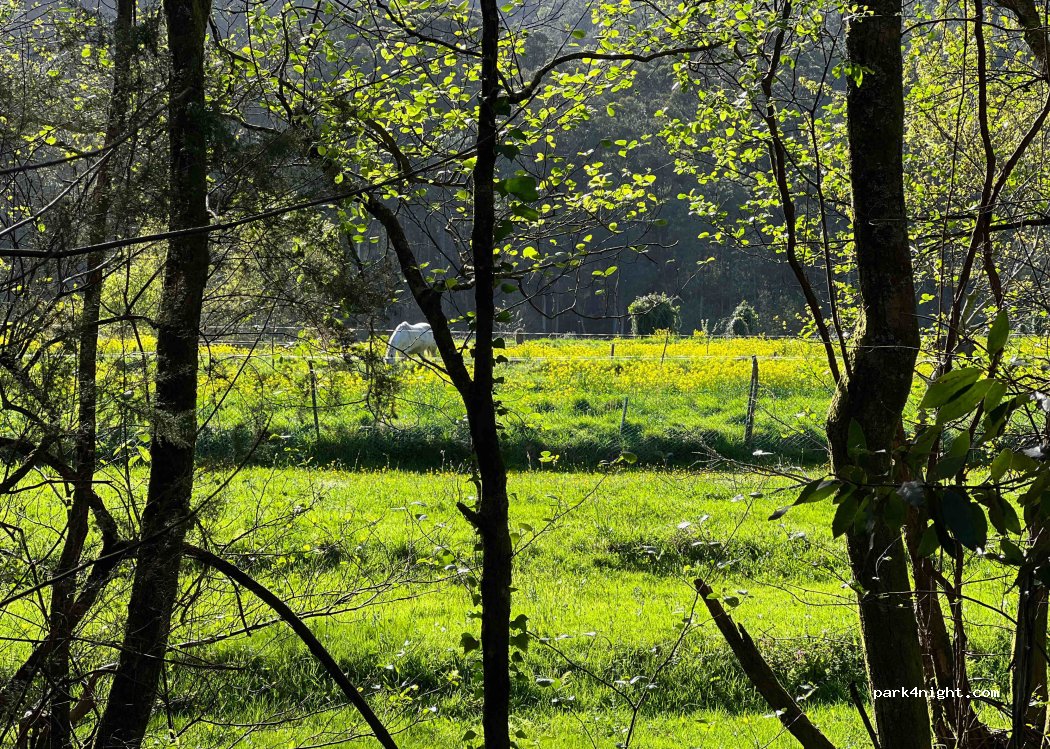 O Porto de Bouzas,1C Lugar Cotarel thumbnail 2