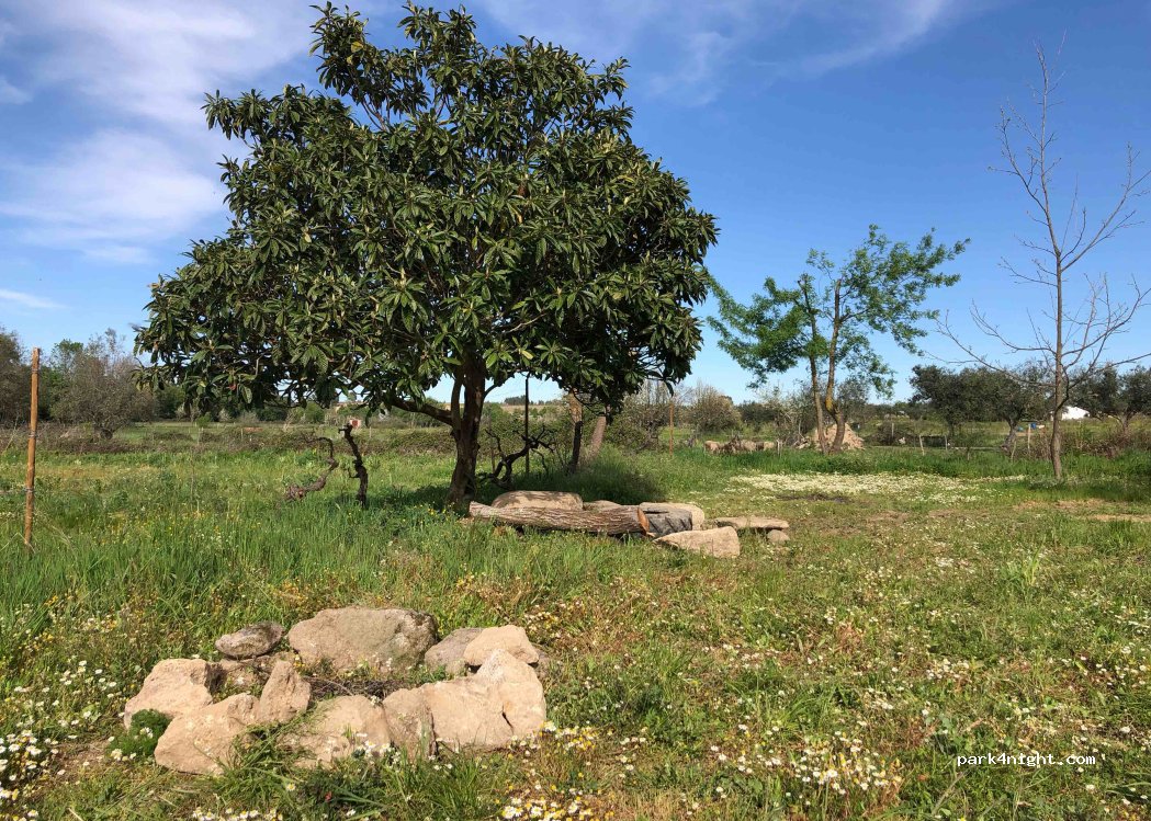 MaAmLaDa thumbnail 2