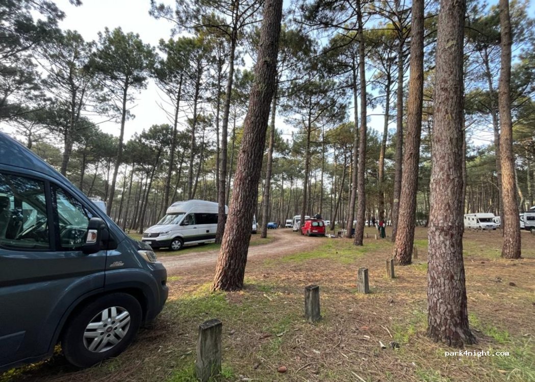 park4night 40600 Aire Camping car de Biscarrosse