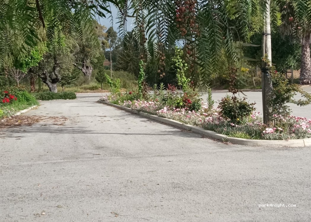 Ermidas do Sado,Estr. Nacional 262 thumbnail 2