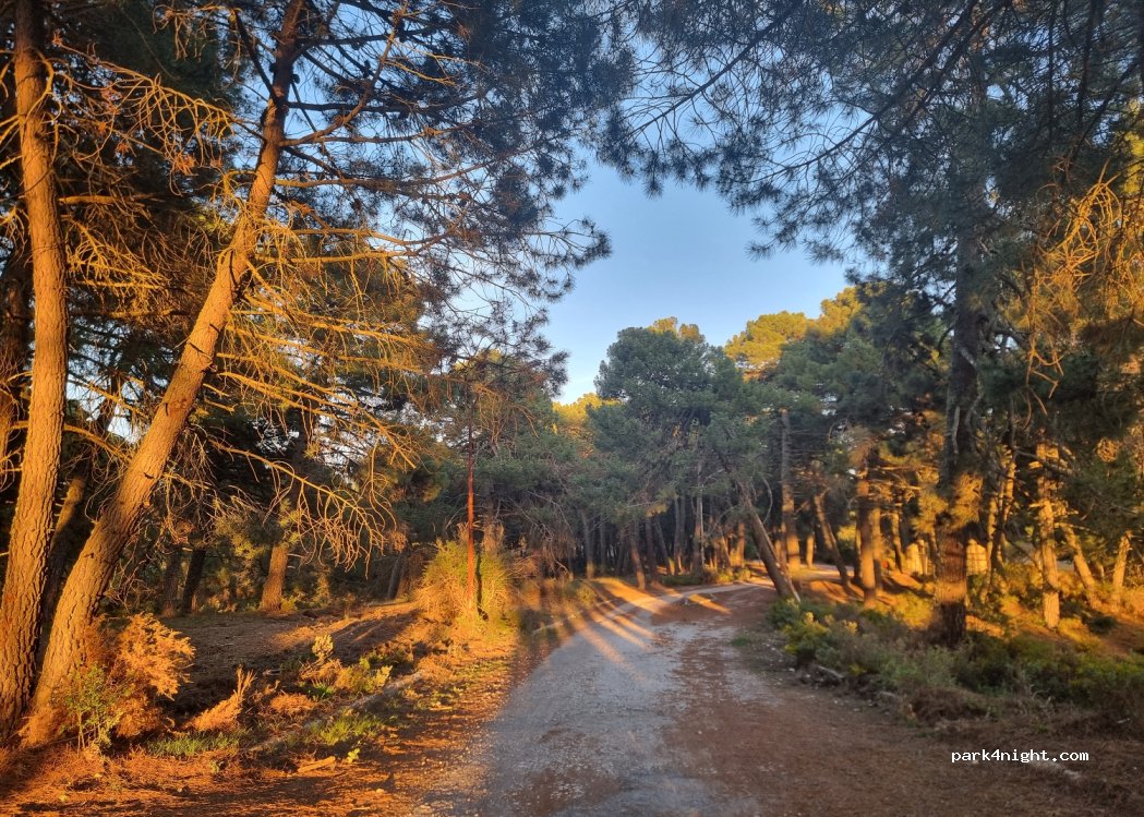Lentegí photo 2