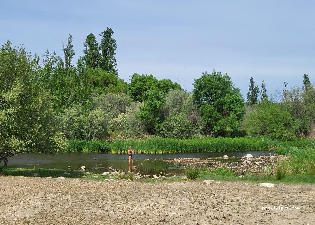 Ledesma, thumbnail 3