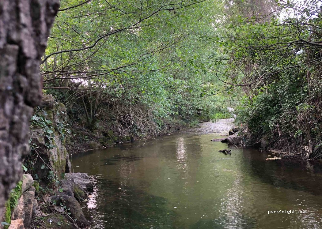 MaAmLaDa thumbnail 4