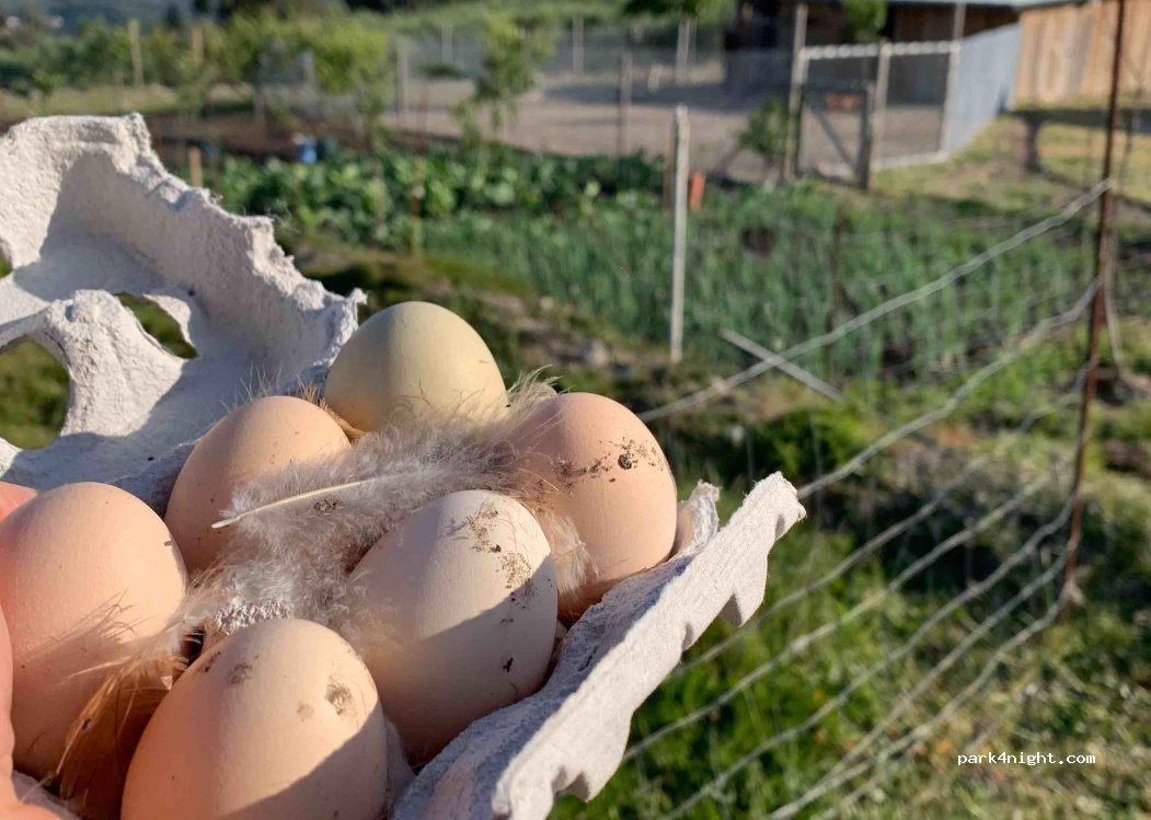 Greenval | Rural Camping thumbnail 3