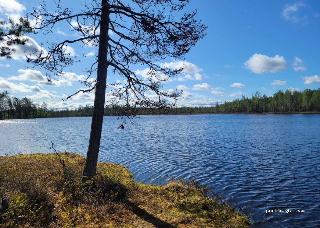 Suomussalmi - Unnamed Road - Photo 2