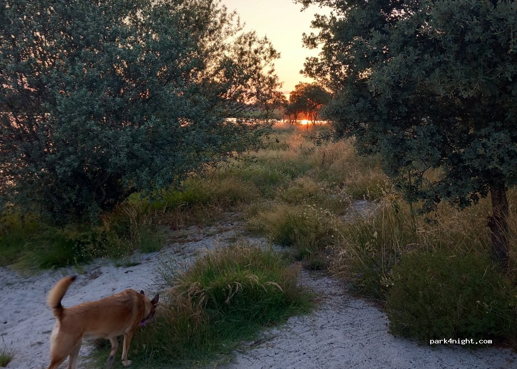 Vilar Torpim,Unnamed Road thumbnail 3