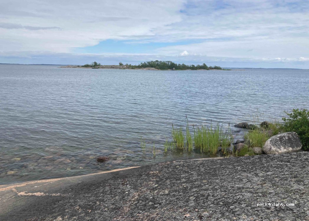 Björnholma -