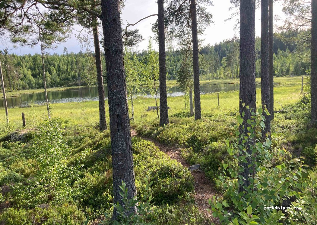 Lesjöfors - 26 photo 3