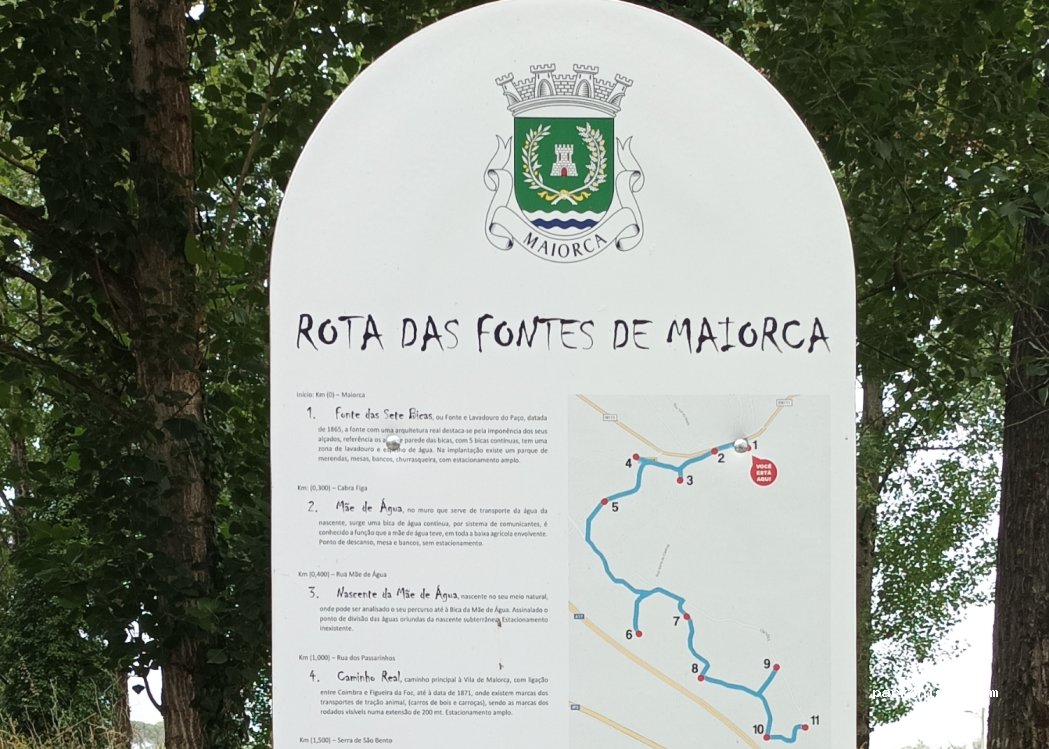 Maiorca, 126 N111 thumbnail 4