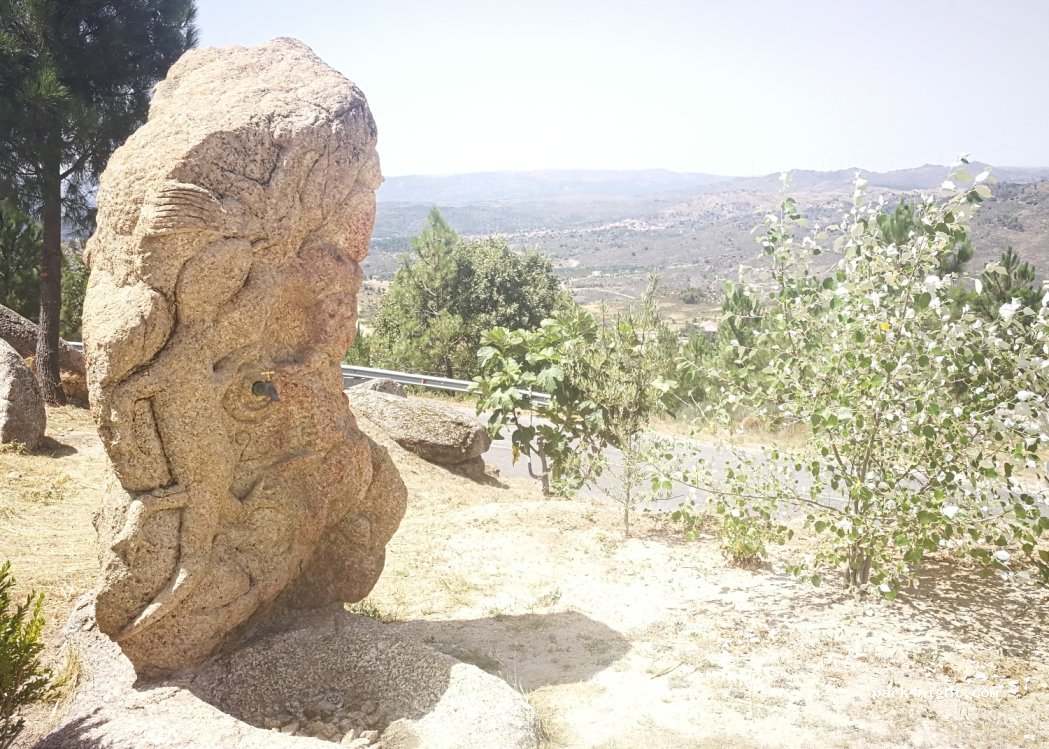 Sortelha,20 Rua Doutor Vítor M. L. Pereira Neves thumbnail 3