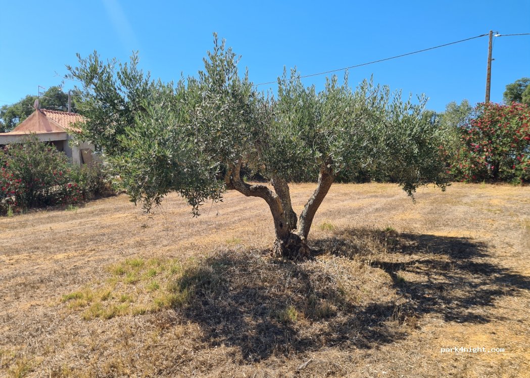 Adega dos Nascedios thumbnail 3