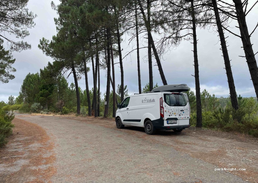 A Gudiña,N-525 thumbnail 3