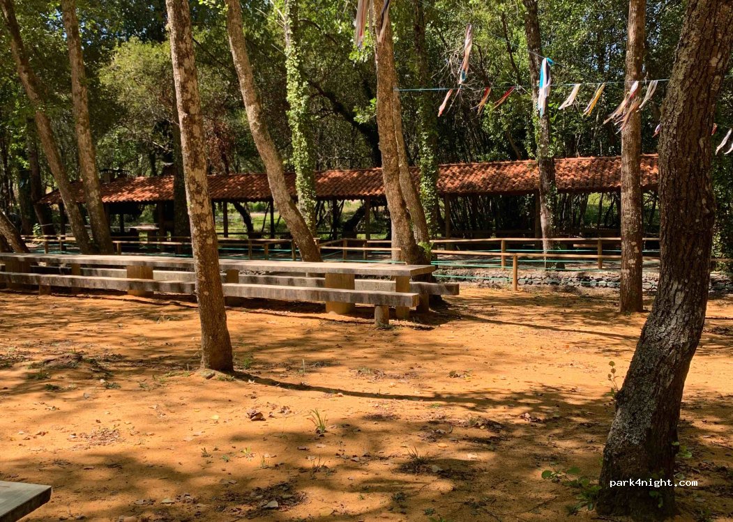 Oliveira do Bairro,Unnamed Road thumbnail 2