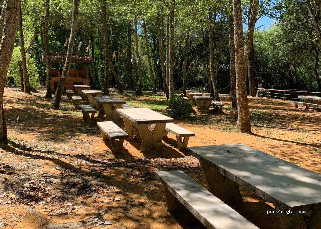 Oliveira do Bairro,Unnamed Road thumbnail 3