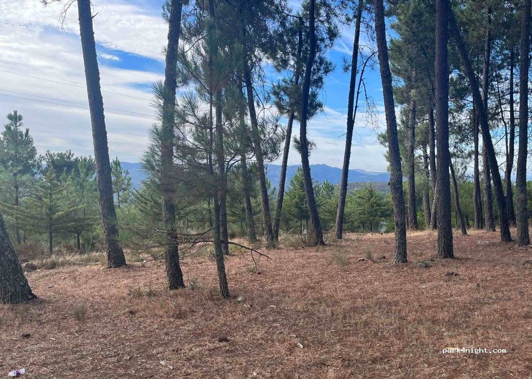 São João da Pesqueira, thumbnail 3