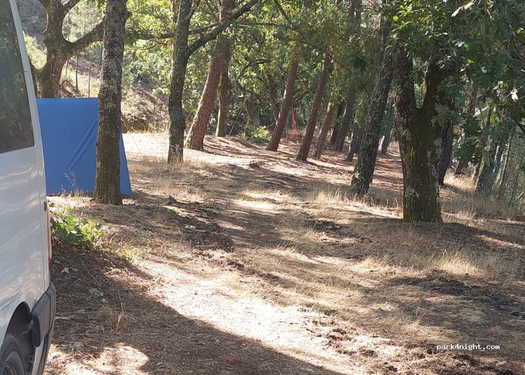 Unhais-o-Velho, thumbnail 3