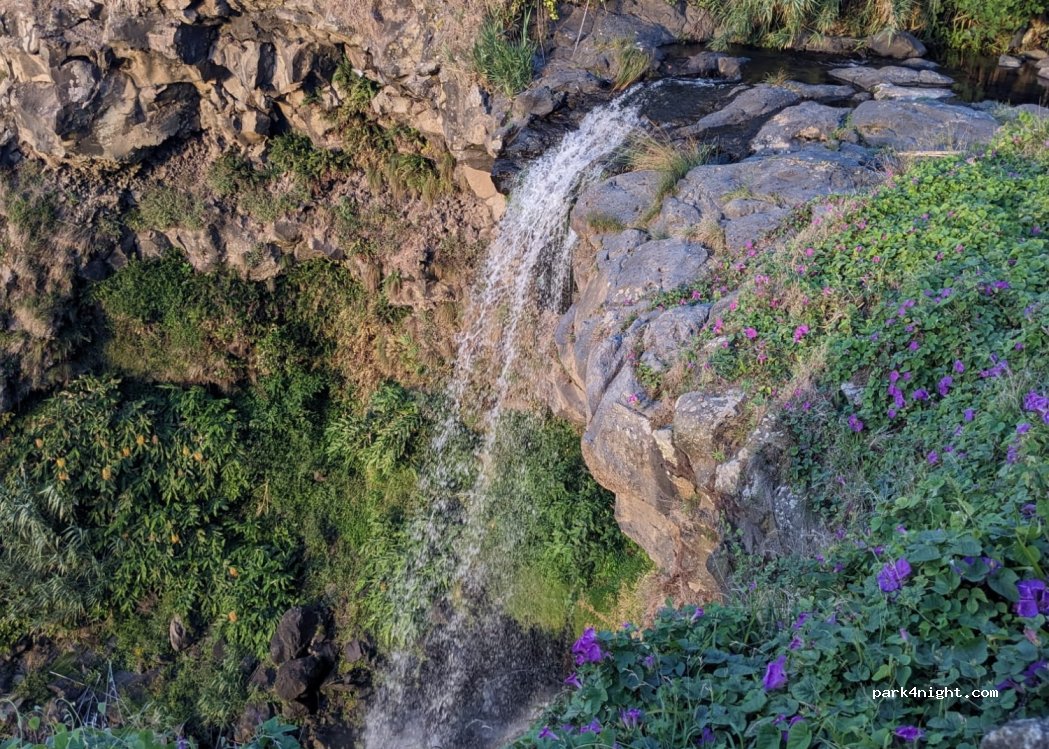 Lomba da Maia,Praia da Viola thumbnail 3