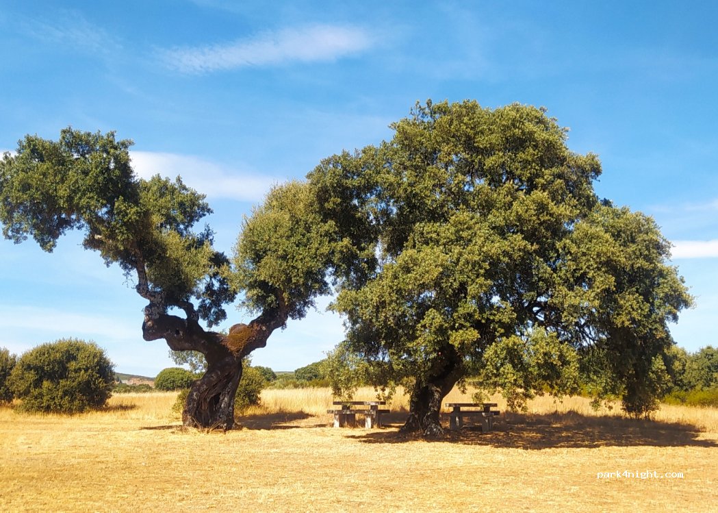 Figueruela de Abajo, thumbnail 2