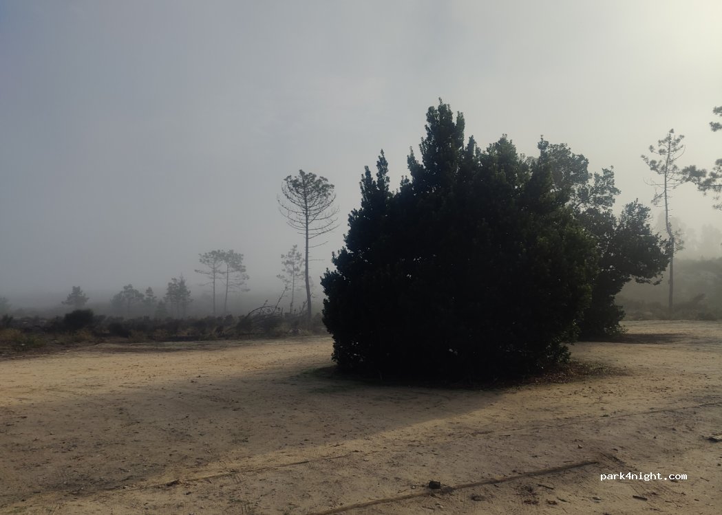 Guia,R. da Lagoa thumbnail 3