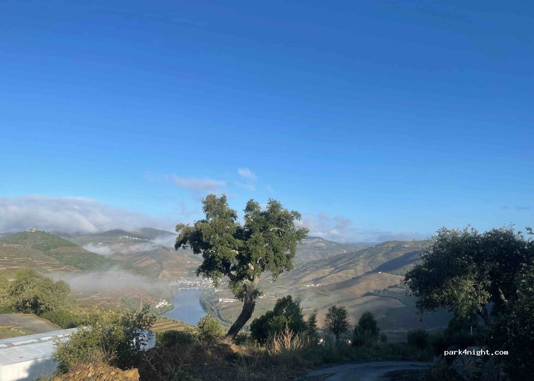 São João da Pesqueira, thumbnail 3