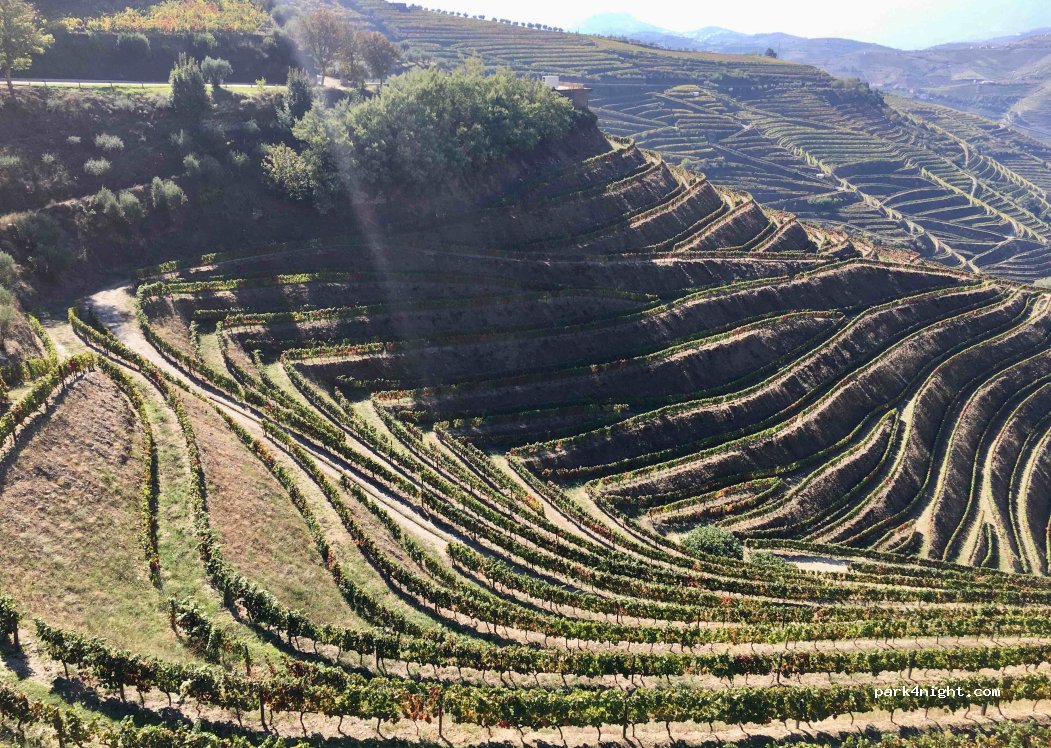 Vila Real,281 Rua Centro Social e Paroquial Santa Eulália thumbnail 3