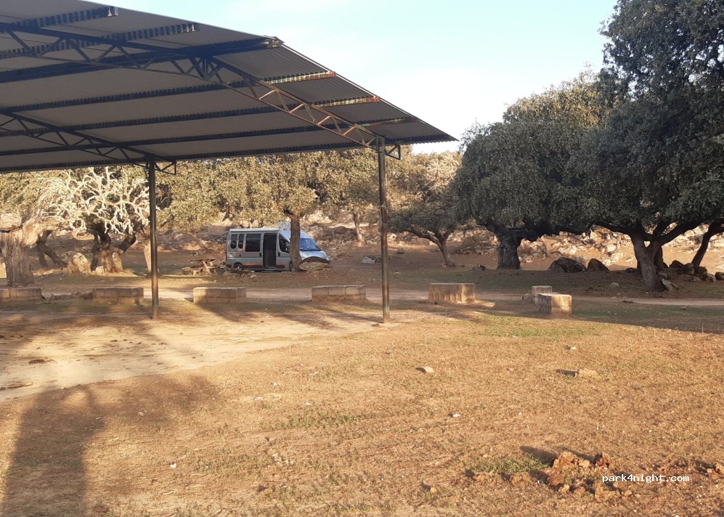 Benquerencia,EX-381 thumbnail 3