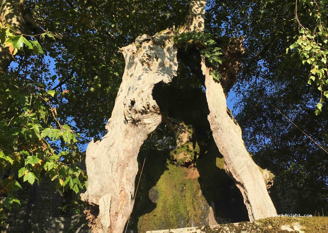 Fiães,22 EM1140 thumbnail 2