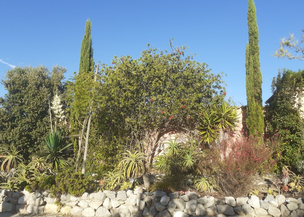 Quinta Arcadia thumbnail 2