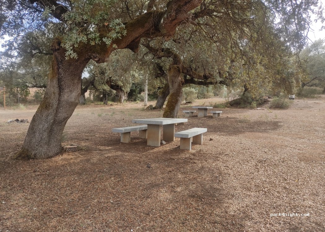 Almendral,N-435 - photo 1