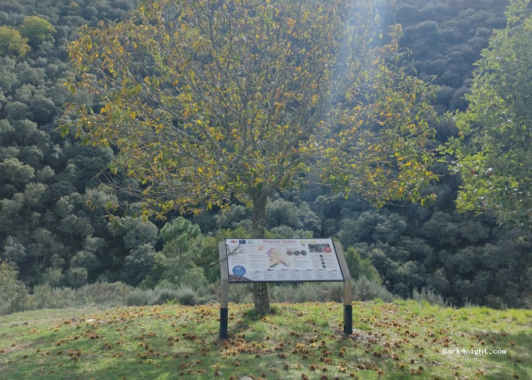 Monsagro, thumbnail 2