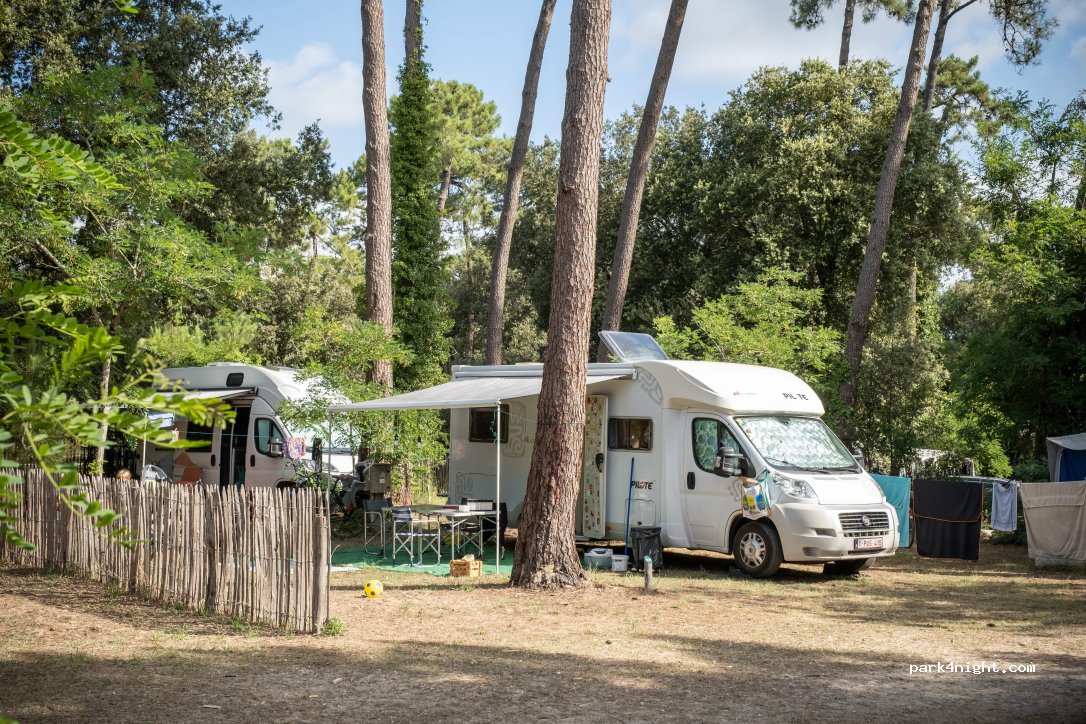 Le marche-pied électrique est-il indispensable : les camping-caristes  répondent à Nicole – Le Monde du Camping-Car