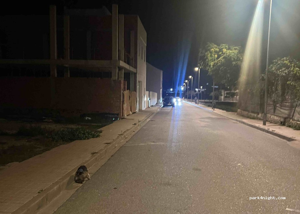 Lebrija, 9 Calle Valencia thumbnail 2