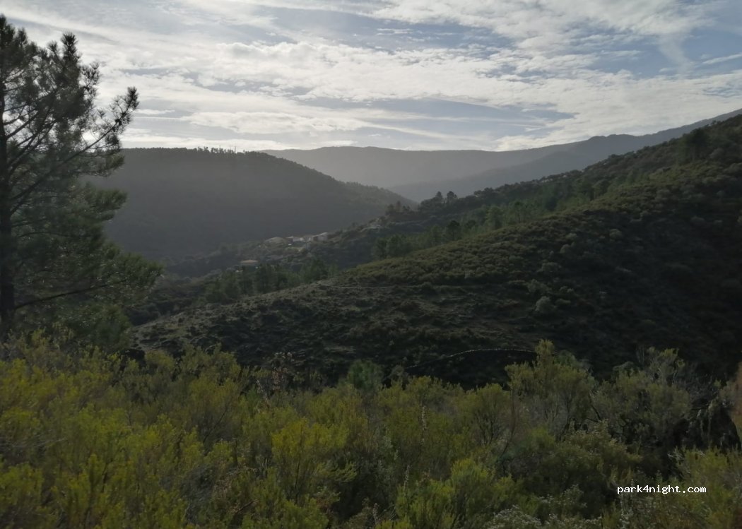 Pinofranqueado, 5 Diseminado thumbnail 2