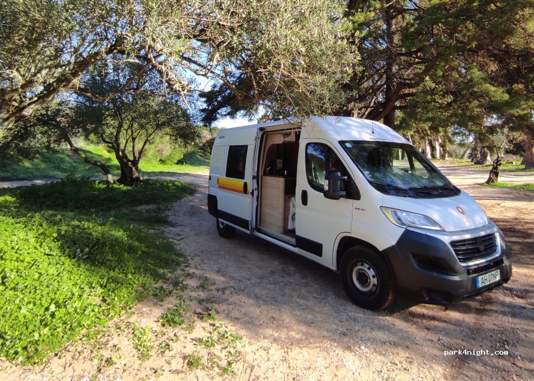 Palmela, thumbnail 4