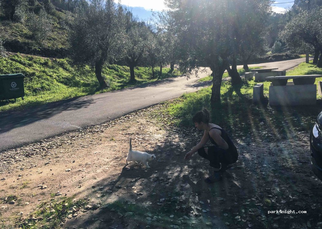 Leiria,Unnamed Road thumbnail 4