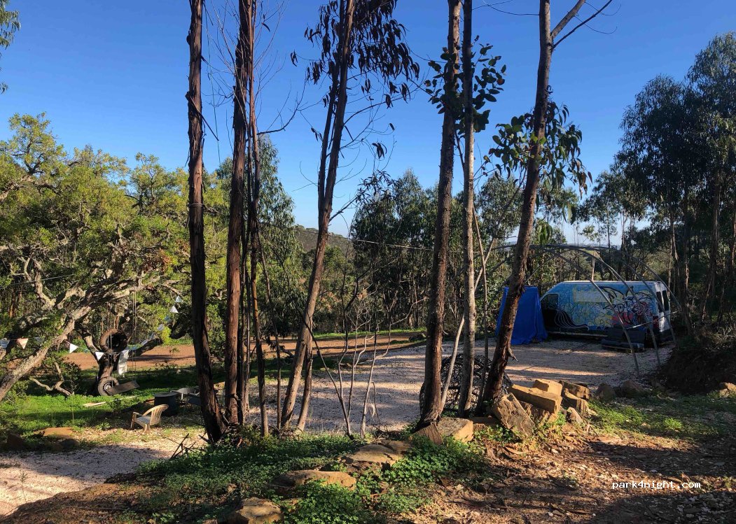 Barão de São João, thumbnail 2