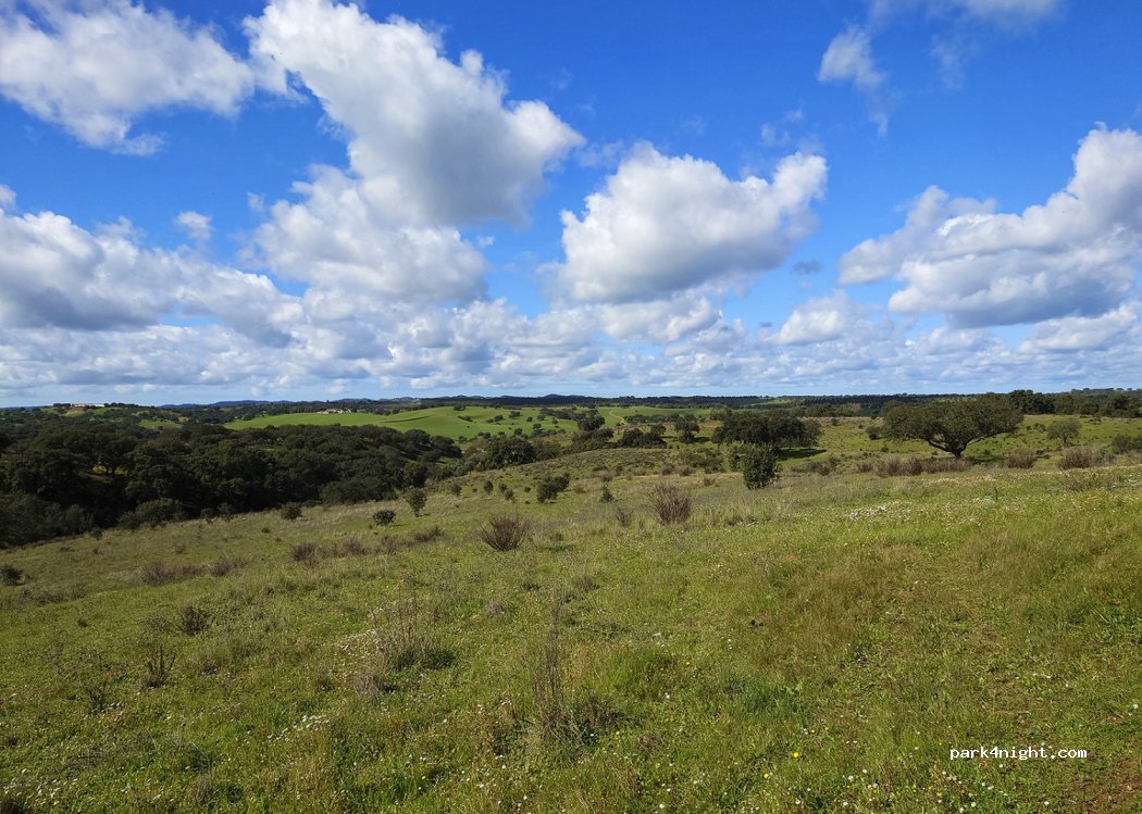 Garvão, thumbnail 2